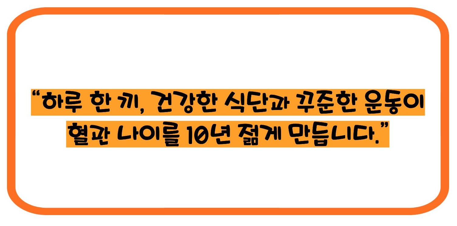 총 콜레스테롤 이란