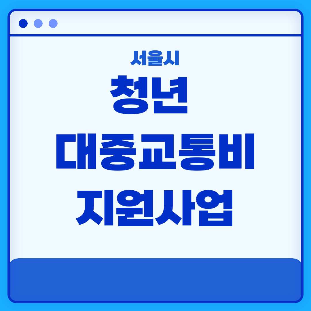서울시 청년 대중교통비