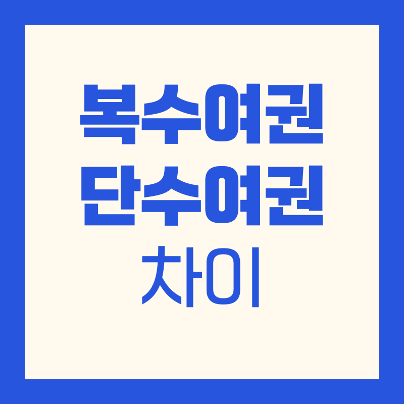 복수여권 단수여권 차이