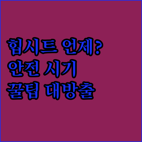 힙시트, 언제부터 써야 안전할까? 에..