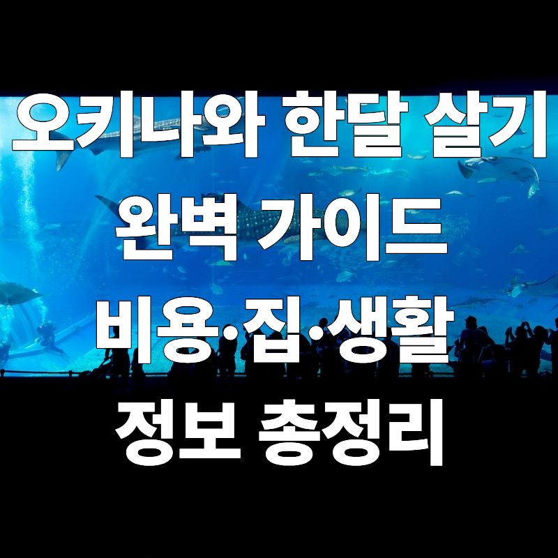 오키나와 한달 살기 완벽 가이드
비용&middot;집&middot;생활&nbsp;
정보 총정리