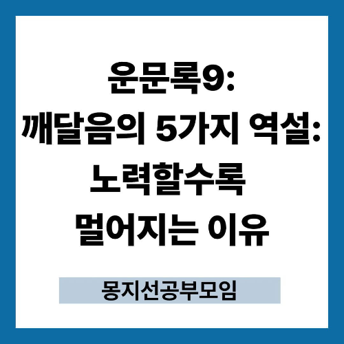 운문록9:깨달음의 5가지 역설 노력할수록 멀어지는 이유