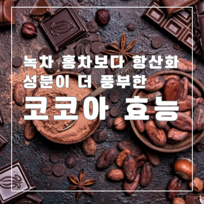 코코아 효능