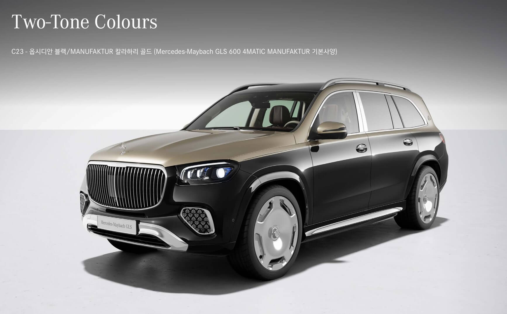 벤츠 마이바흐 SUV 가격