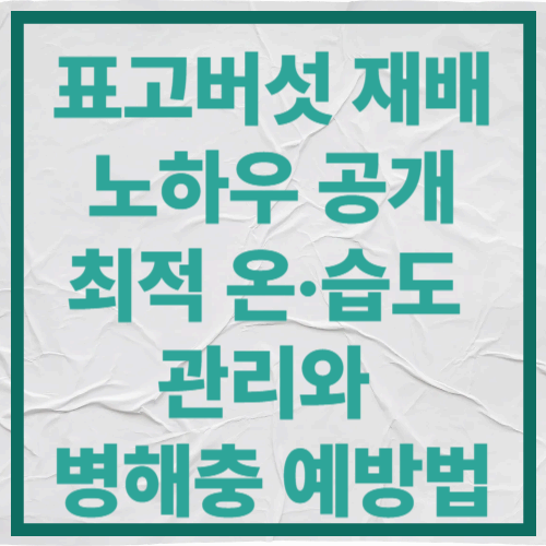 표고버섯 재배 노하우 공개|최적 온·습도 관리와 병해충 예방법