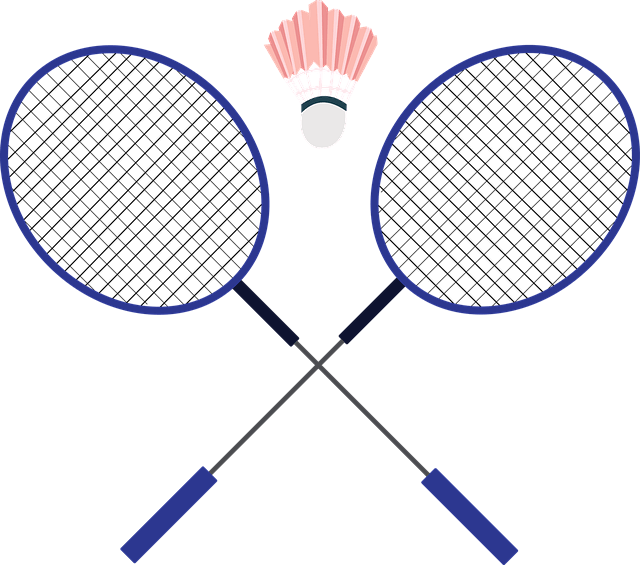 안세영 주요 대회 일정 