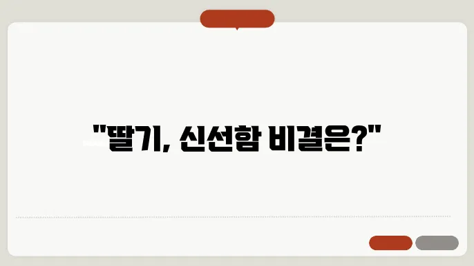 딹기 보관방법 신선함을 오래 유지하는 꿀팁