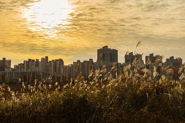 여의도 한강 공원