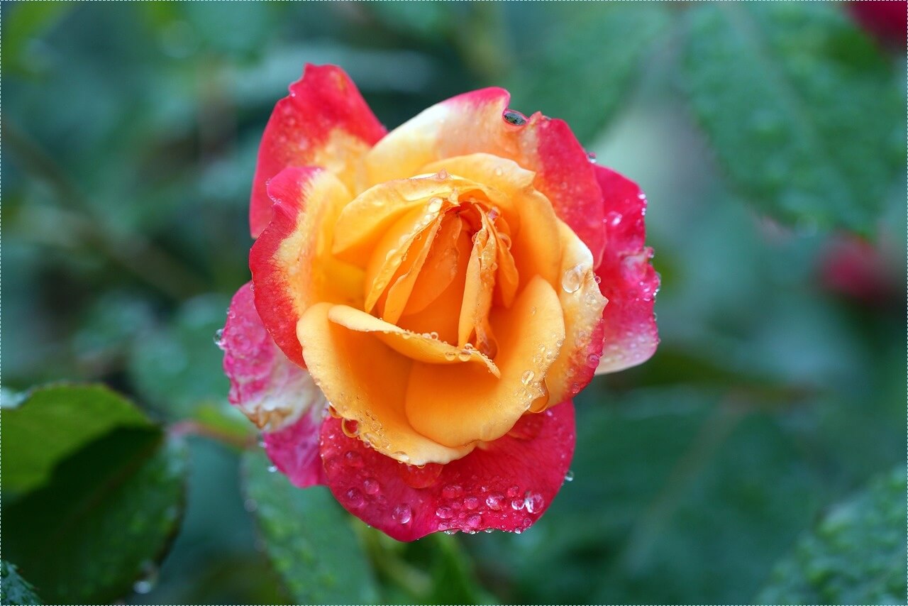 적금 이율 높은 은행