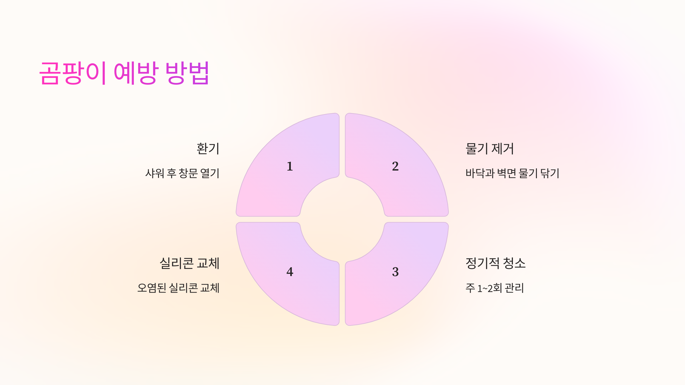 🚿 곰팡이 예방 방법