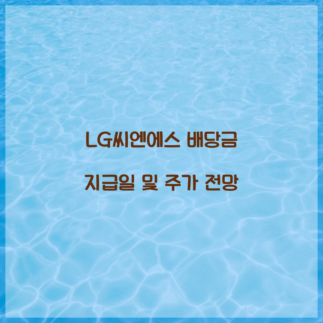 LG씨엔에스 배당금 지급일