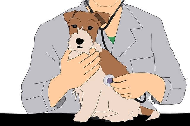 수의사와 강아지 일러스트