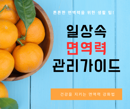 면역력 높이는 생활 습관 총정리