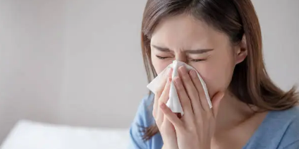 지르텍정 효능 효과