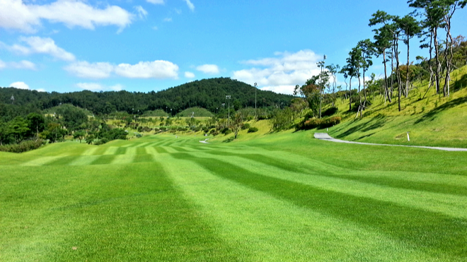 써닝포인트 컨트리클럽