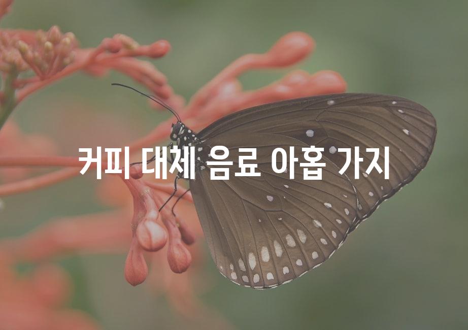 샘플 (51)