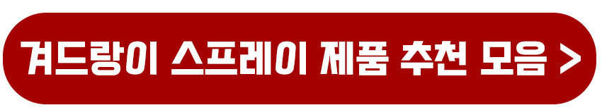 겨드랑이 스프레이 제품 추천