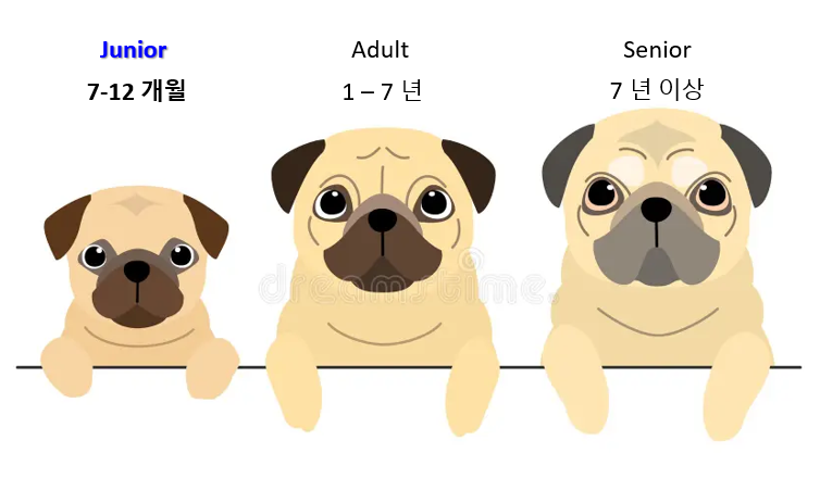 강아지 (Junior Dog) 이미지