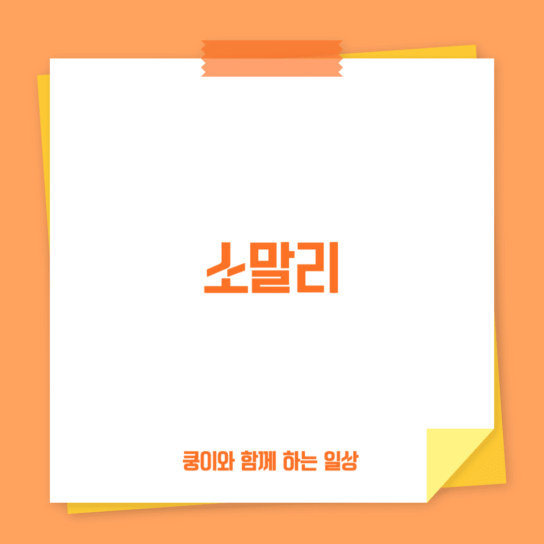 소말리