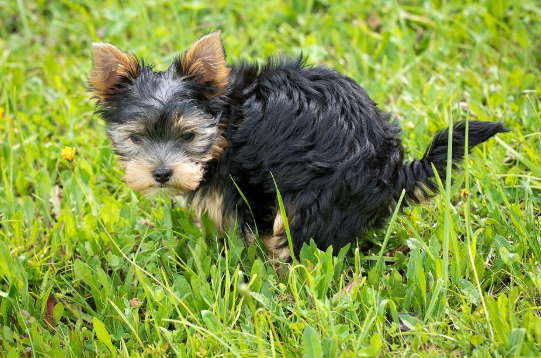 대장암 초기증상 몸이 보내는 신호 알아보기8