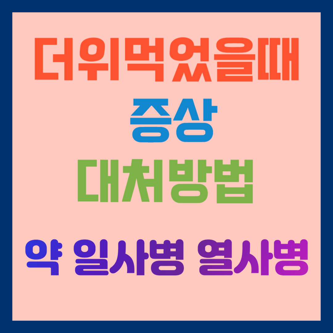 더위먹었을때 증상 대처방법 약 일사병 열사병 차이