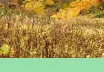 송추계곡