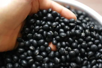 서리태 효능 먹는법 영양성분_11