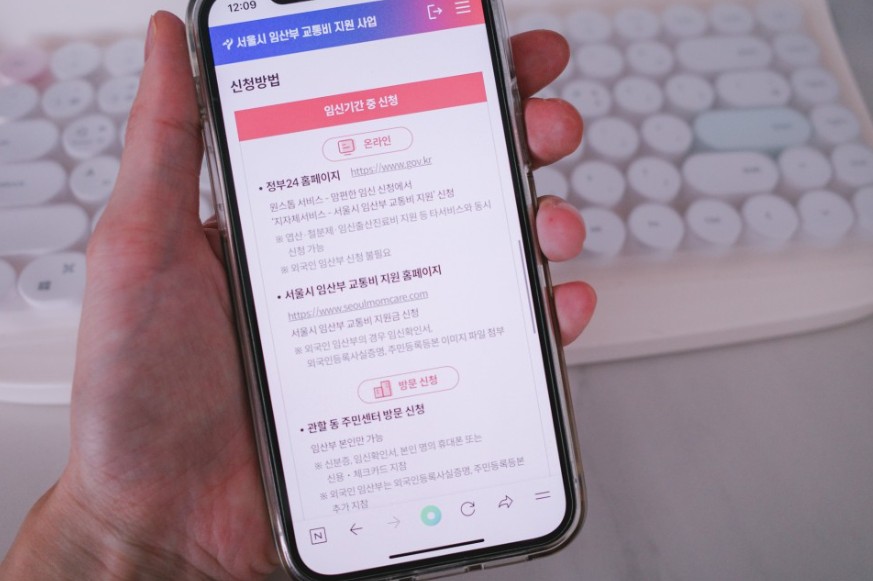 서울시 임산부 교통비 지원