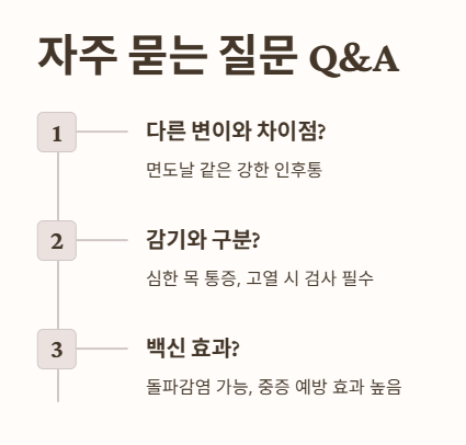 자주 묻는 질문 Q&A