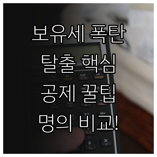 주택 보유세 줄이는 법 고령자 장기보..