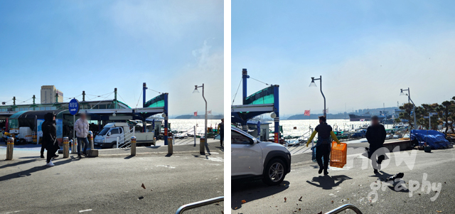 묵호항-활어판매센터