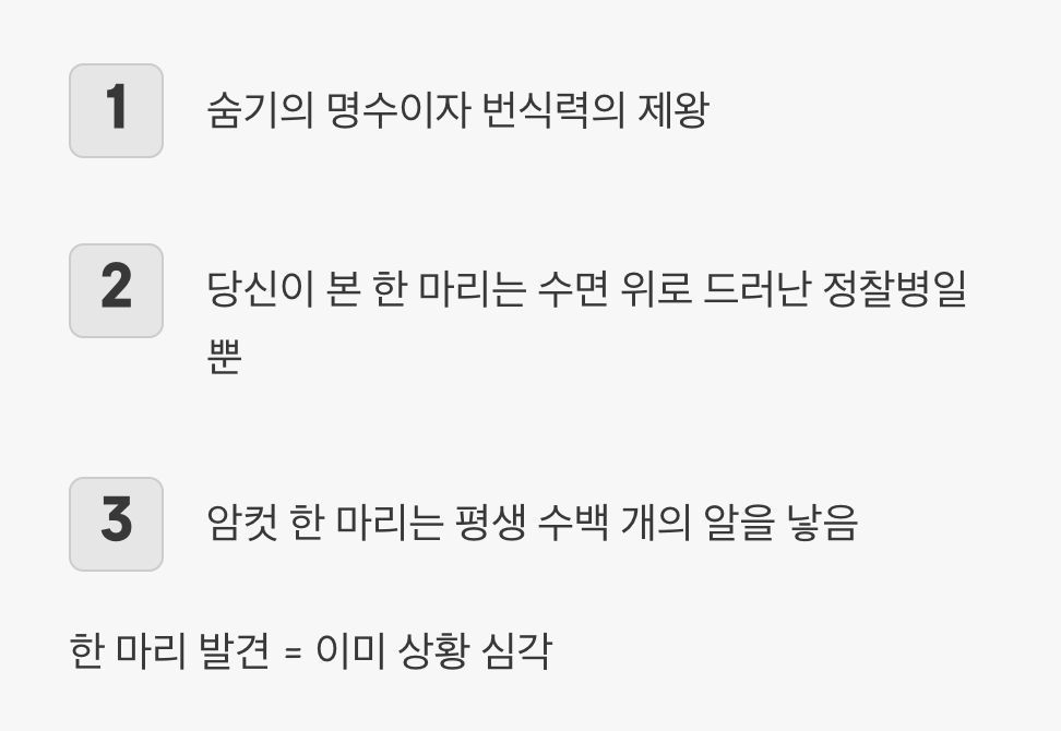 한 마리가 의미하는 것