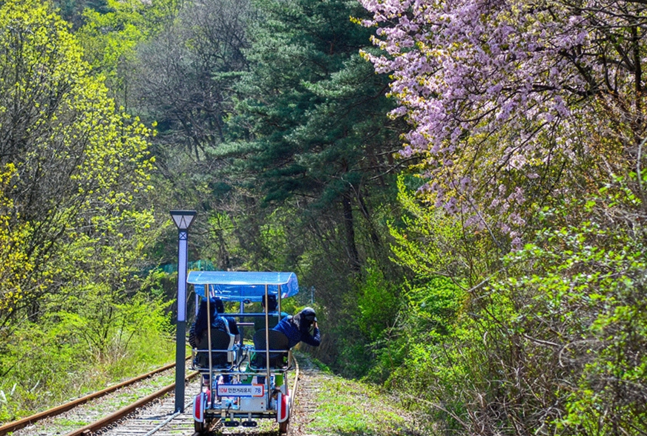 문경 가볼만한곳 베스트10