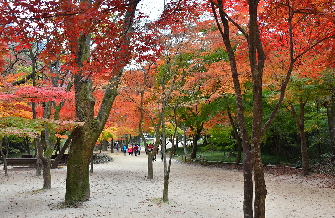 전라도-가을여행지-추천-순창-강천산-단풍-절정시기
