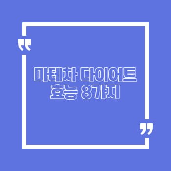 마테차 다이어트 효능 8가지