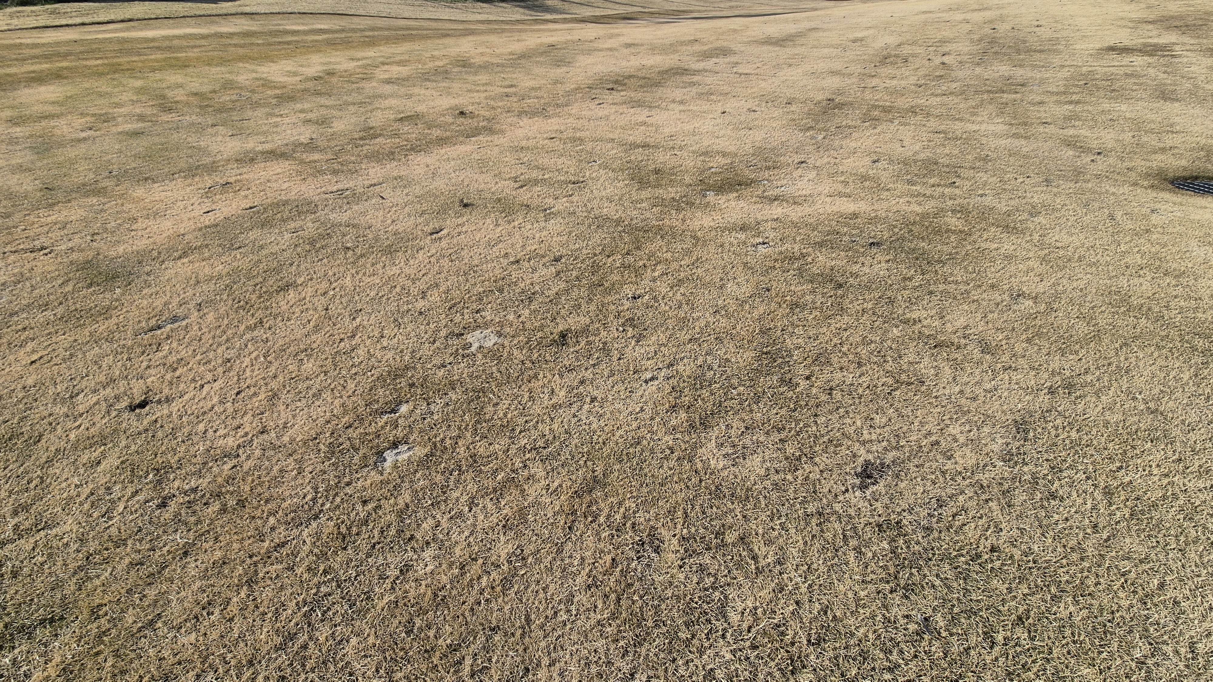 힐데스하임 레이크-힐 코스 코스 관리 상태