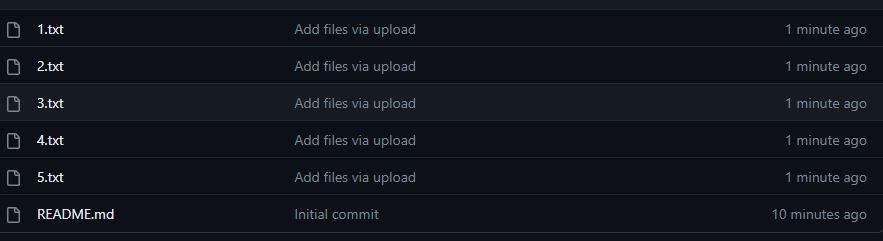 깃코인 패스포트