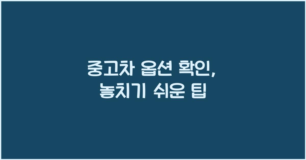 중고차 옵션 확인