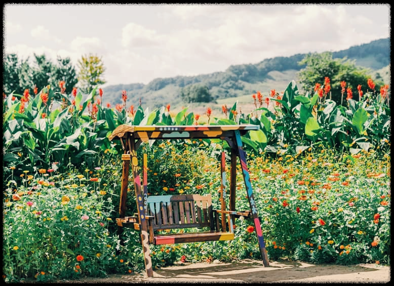 임진강댑싸리공원