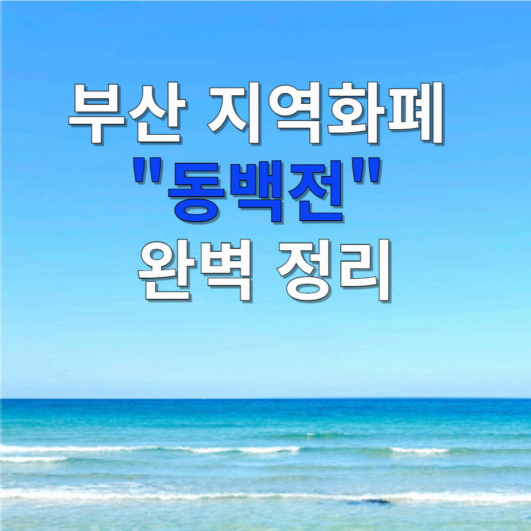 부산 지역화폐 동백전 완벽 정리! 혜택부터 사용법까지 총정리
