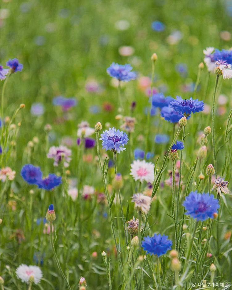 경남 함안 여행 가볼만한곳