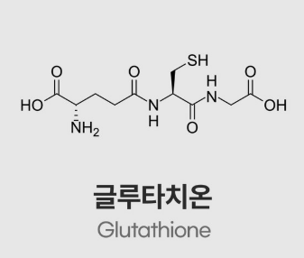 글루타치온 효능 추천 많이든 음식 알아보기