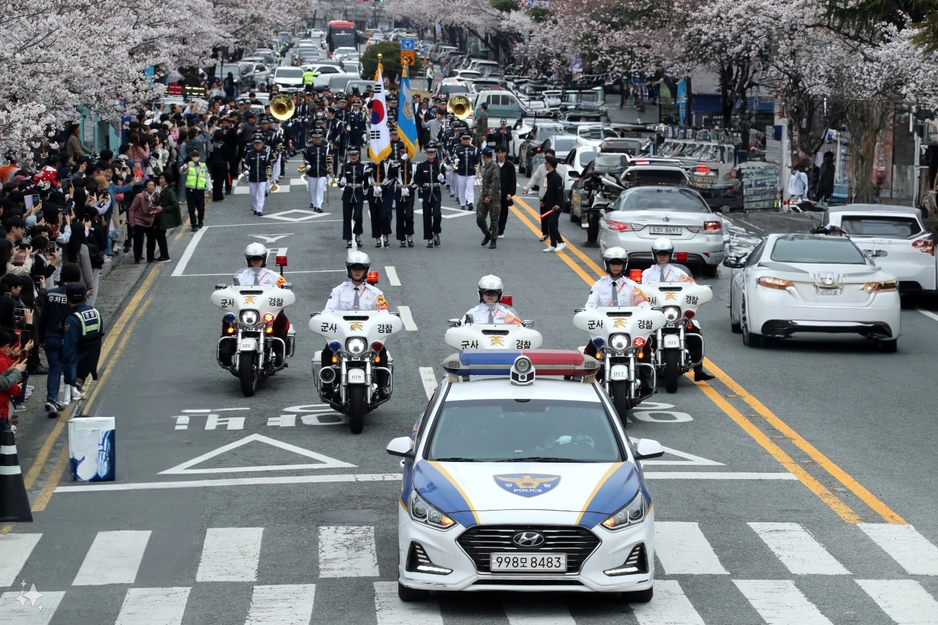 진해군항제축제 2025