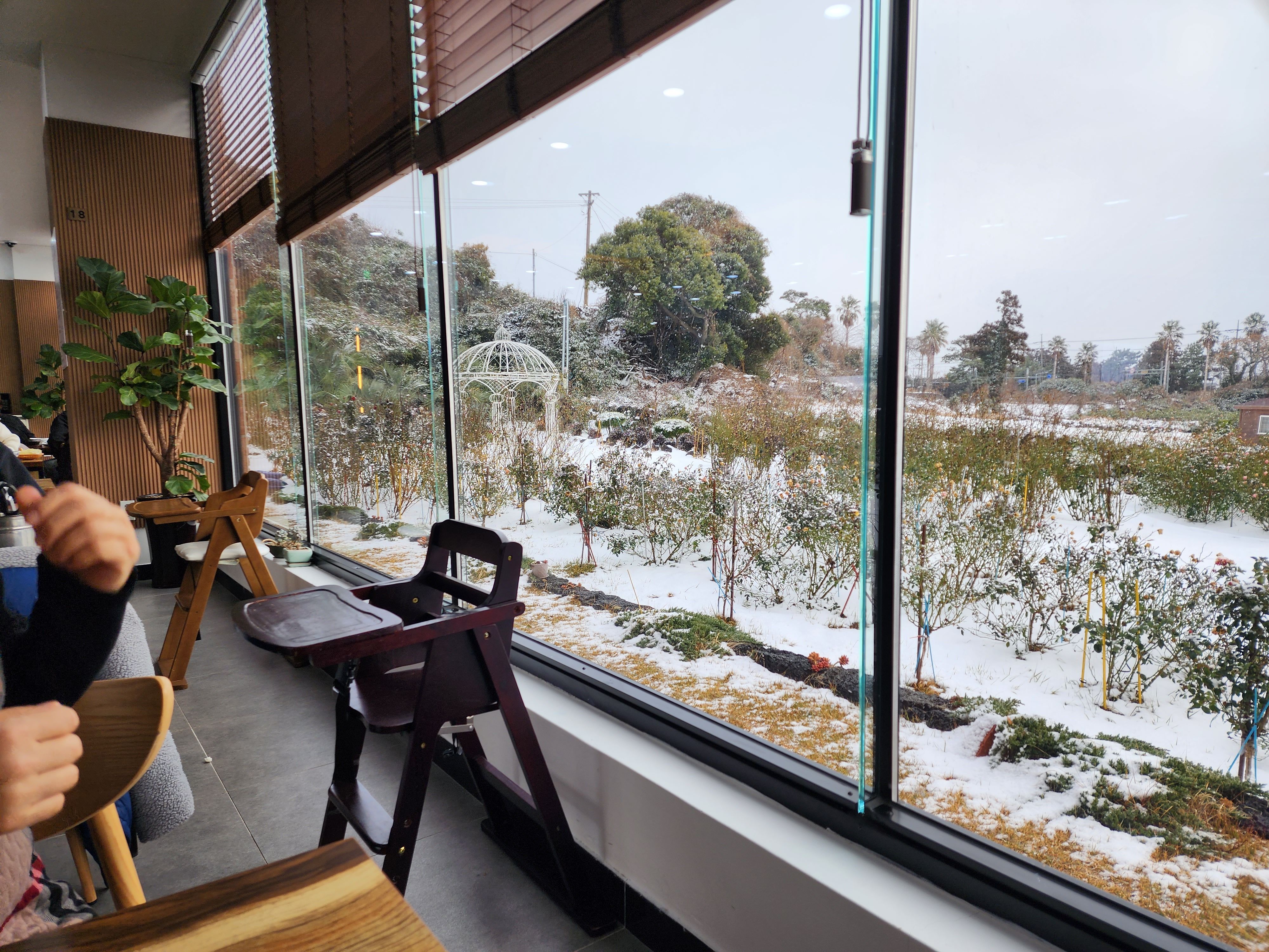 중문고등어쌈밥