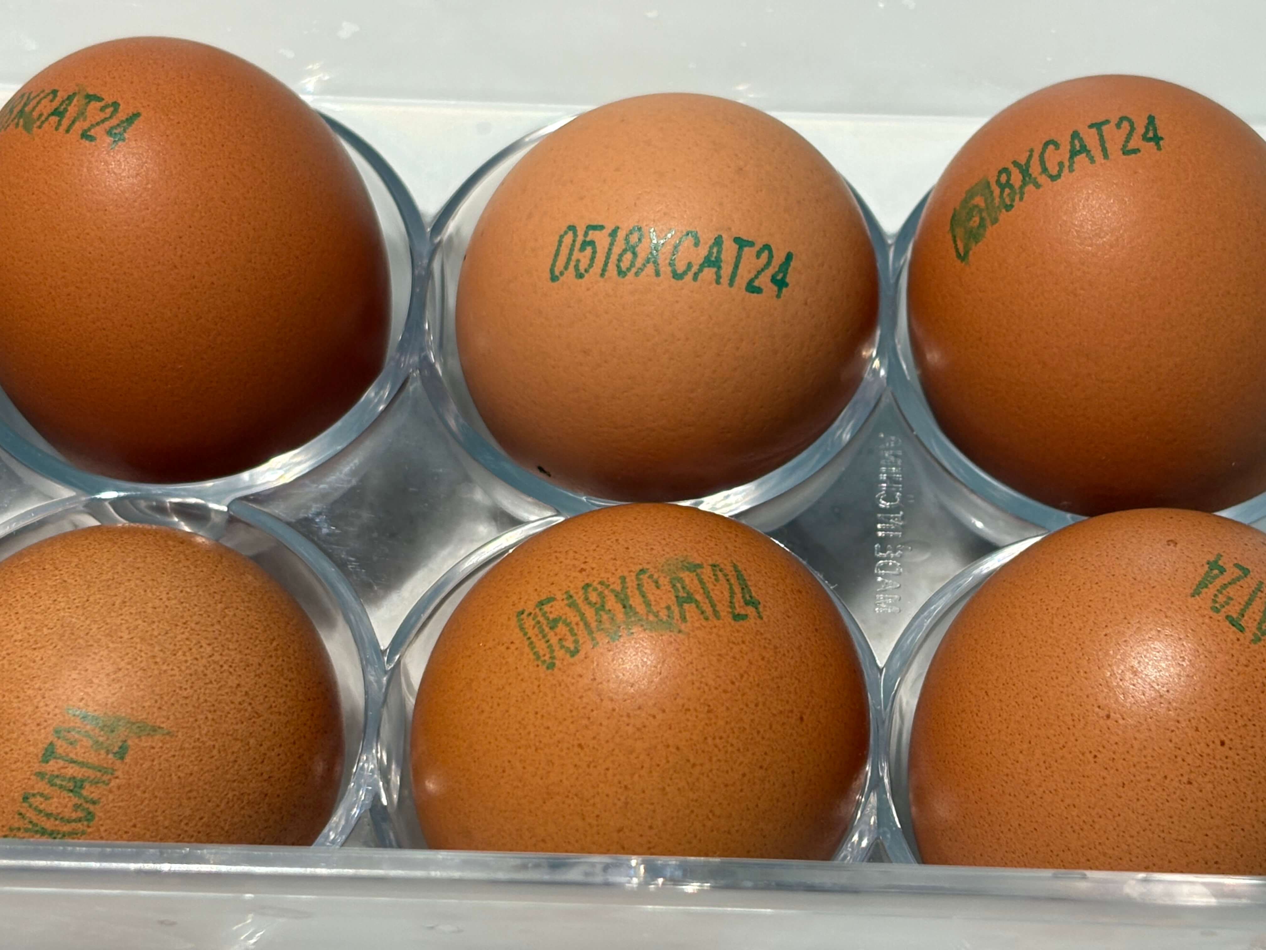 계란 난각 번호 표시