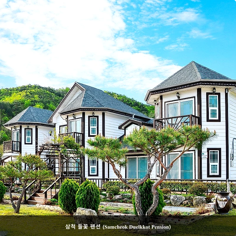 삼척 들꽃 펜션 (Samcheok Duelkkot Pension)_5