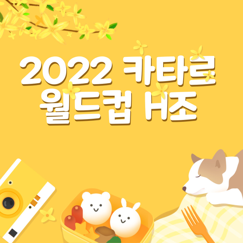 2022 카타르월드컵 H조