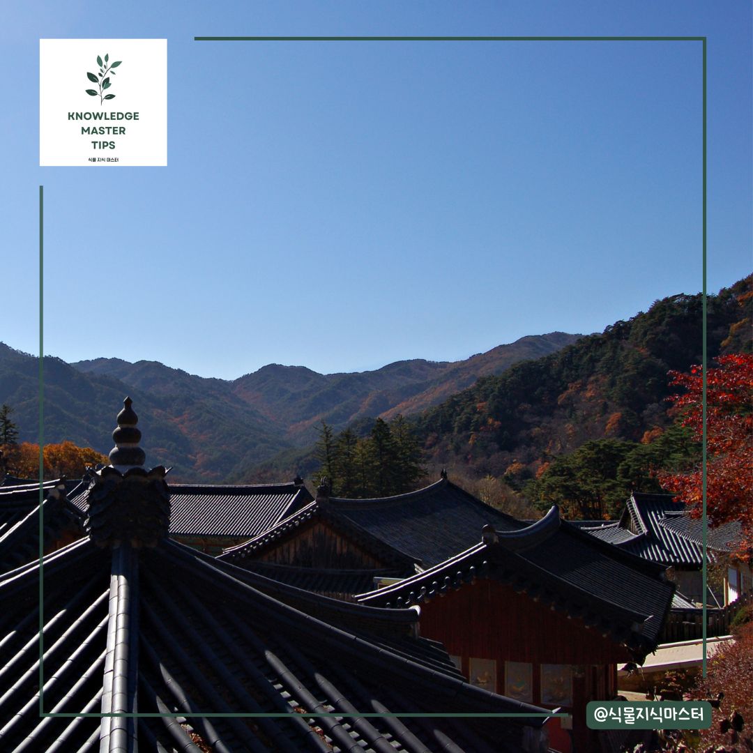 경상도 단풍 명소 - 합천 해인사