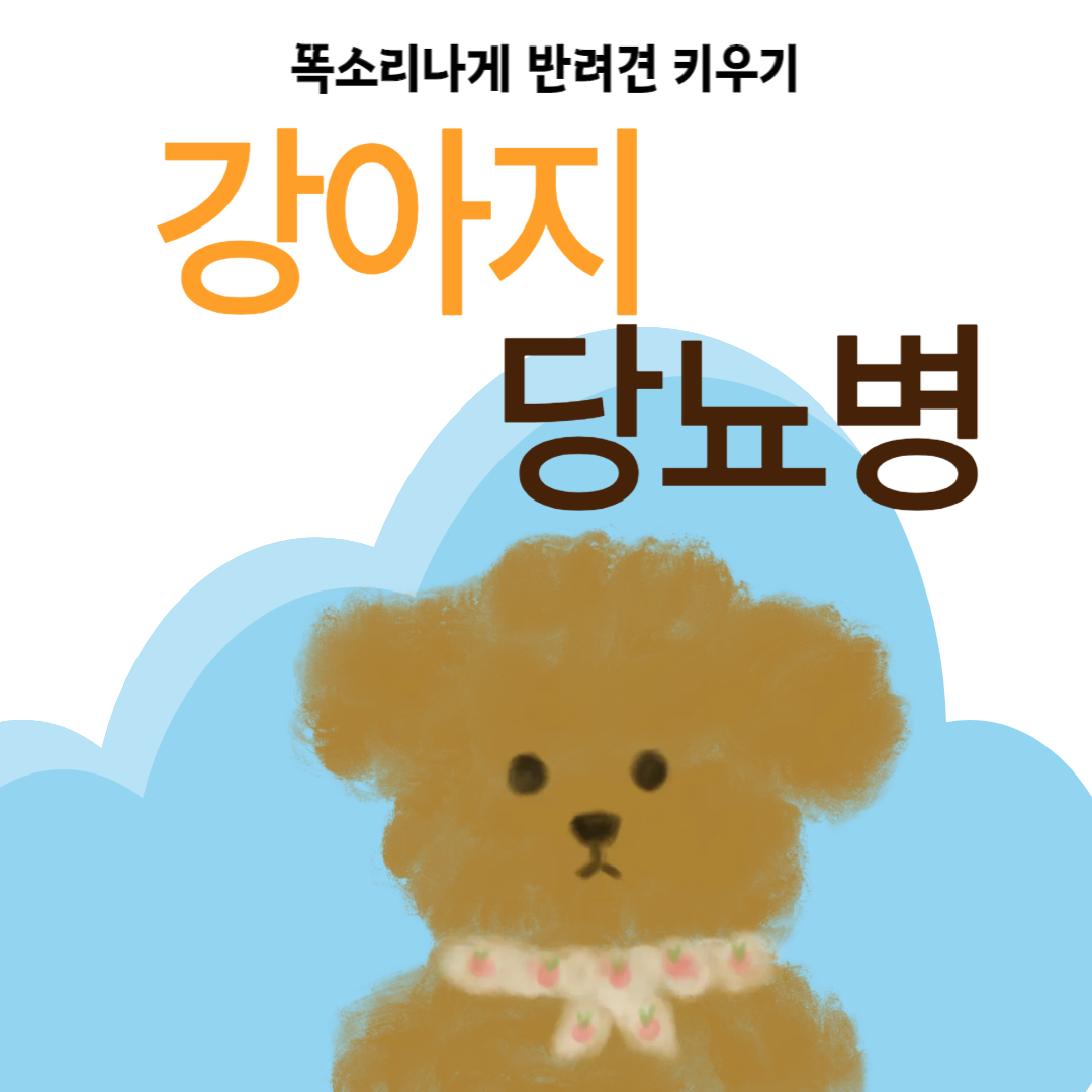 강아지 당뇨 원인 증상 치료 예방 관리