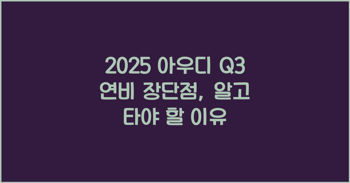 2025 아우디 Q3 연비 장단점